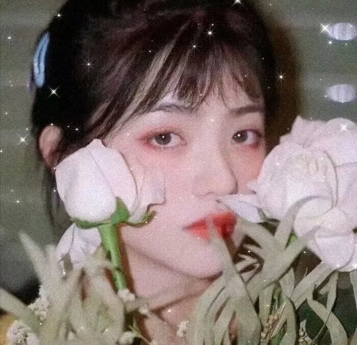 八月照相馆